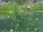 foto Lago dei Aseni